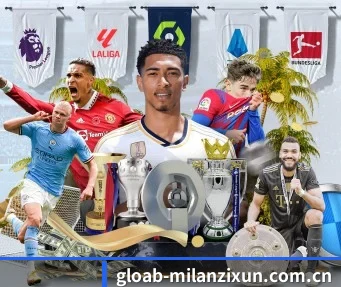 国际化进程 - milan